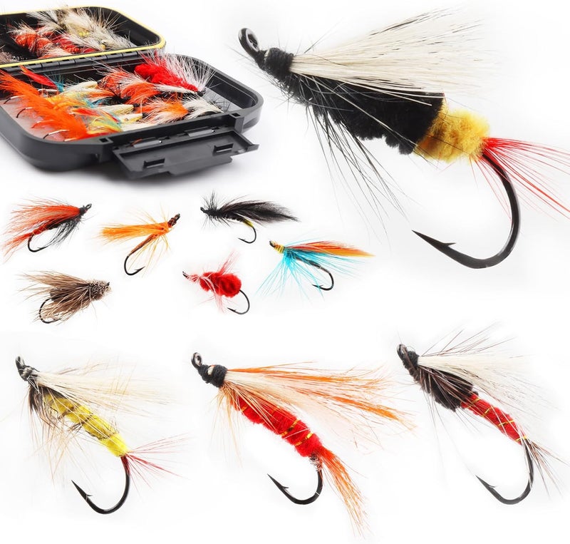 FAISOX Fly Fishing Flies Assortment Kit Dry Wet Nyphms Tenkara Popper Streamer Woolly Bugger for Trout Bass Salmon Steelhead with Fly Box - Image 1